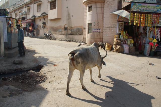 Urlaub in Indien 2016